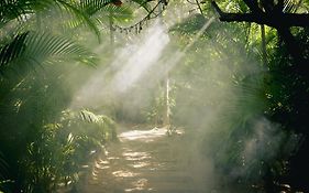 Nômade Temple Tulum